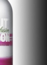 Limited Edition Absolut Gustafson Vodka