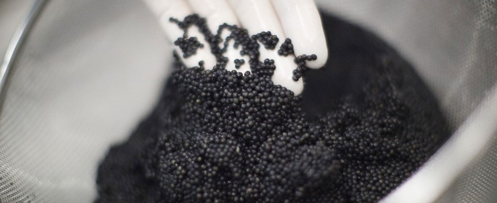 Oona - Extraordinary Swiss-made Caviar