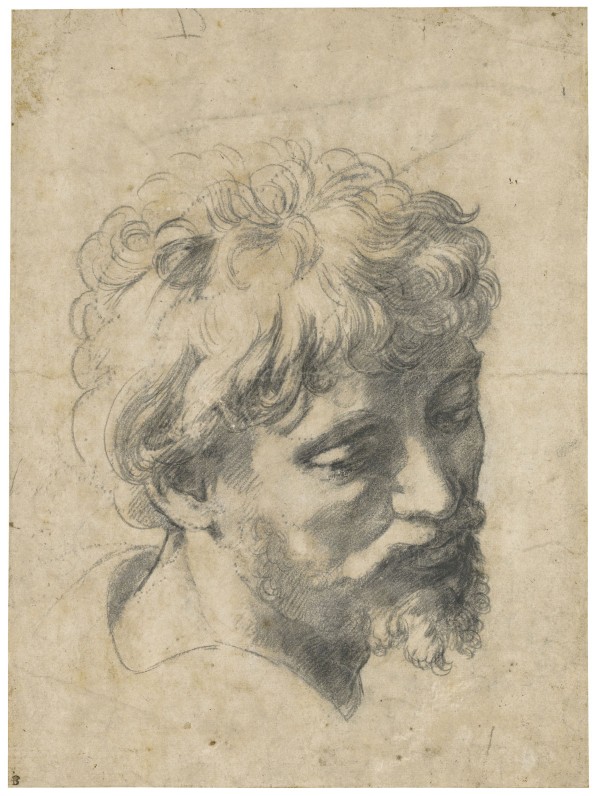 Head of a Young Apostle (c. 1519-20) which achieved a record price for the artist at auction when it sold for £29.7 million, the second highest auction price for any Old Master work of art.