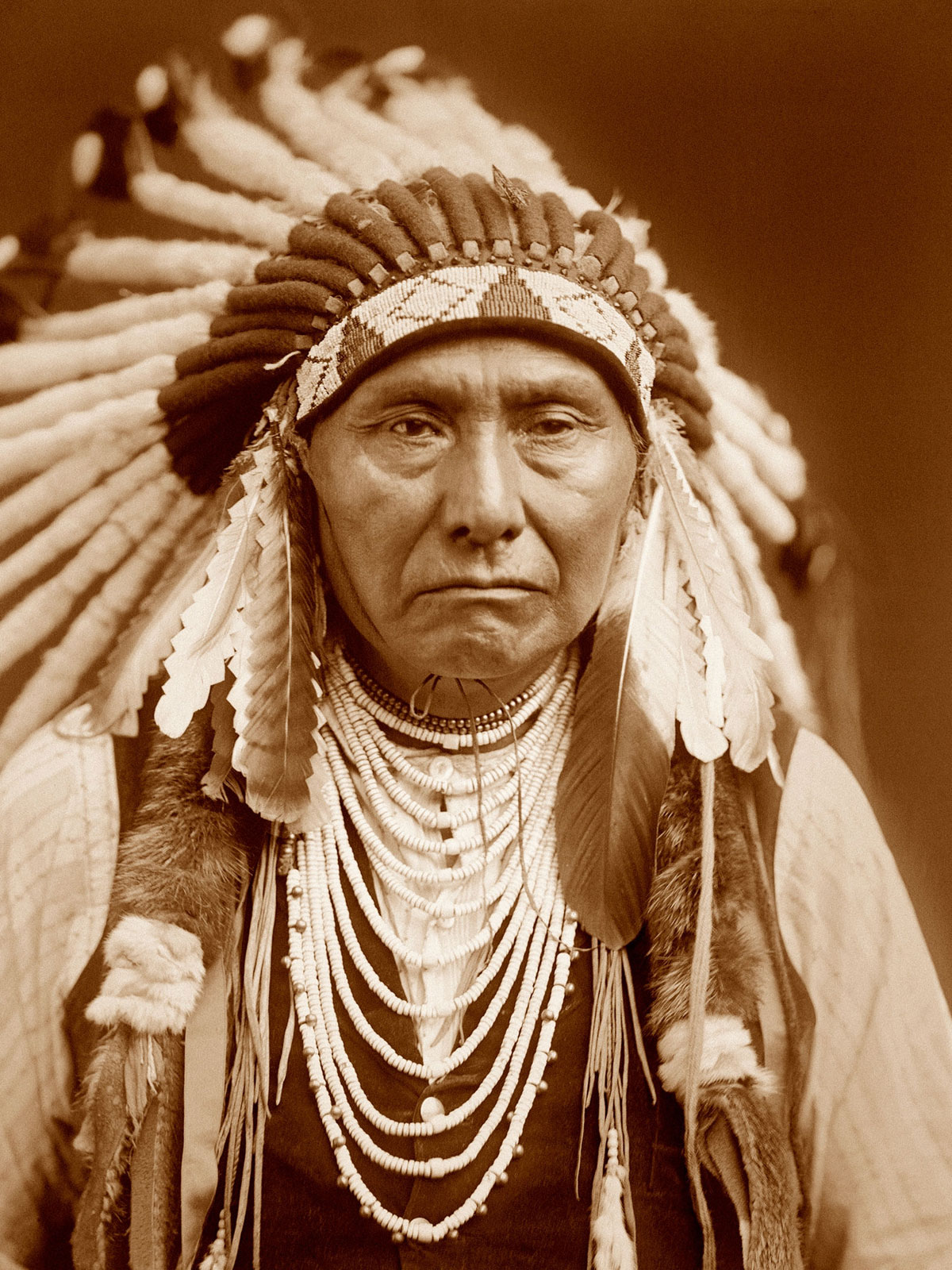 American Indian Tribal Law 価格比較: 日下部balancのブログ