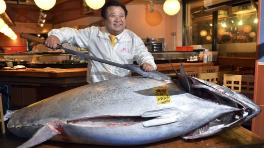 Bluefin Tuna Sold for $1.76 Million Setting a New Record