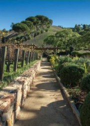 Moraga Vineyards Estate and Winery