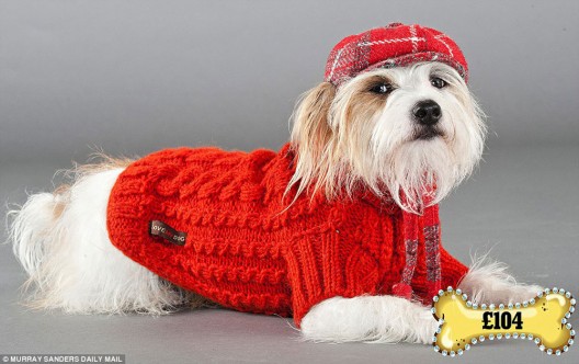 Bespoke Tailor-made Clothes for Your Dog