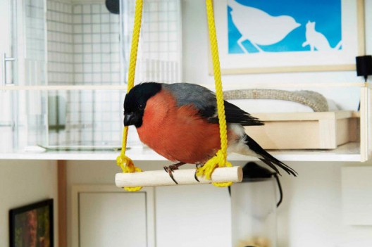 Clas Ohlson creates a super luxurious birdhouse for your garden