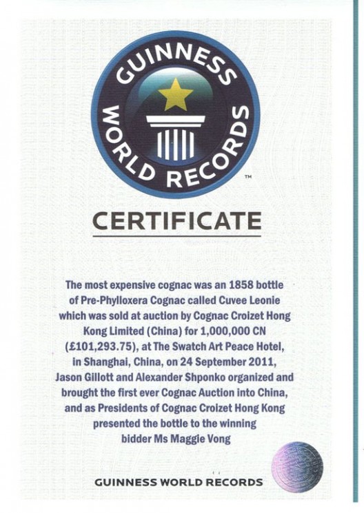 Guinness Book of Records Certificate