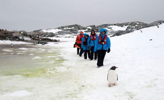 Plan a 2014 Adventure Cruise Through Snowy Greenland on Hurtigruten's MS Fram