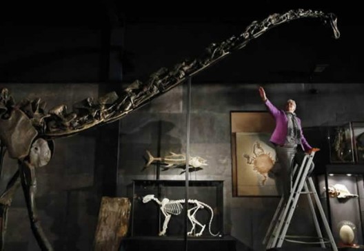 For sale a 60 foot Diplodocus Skeleton for a cool $ 980,000