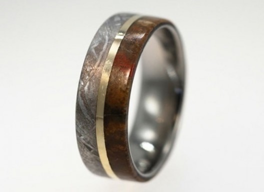Forever and ever  Wedding bands made from Dinosaur Leg bone