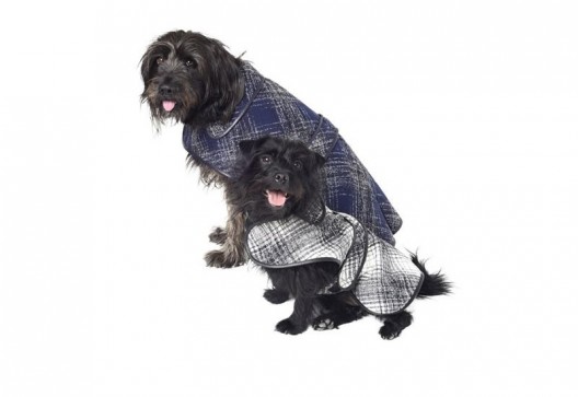 Oscar De La Renta Designs Winter Coats For Stylish Dogs