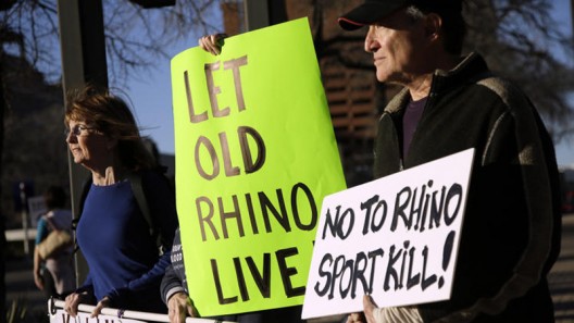Permit to hunt black rhino sells in auction for $350, 000