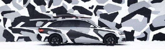 Audi and professional skier Jon Ollson have create for the Swedish market a new limited edition