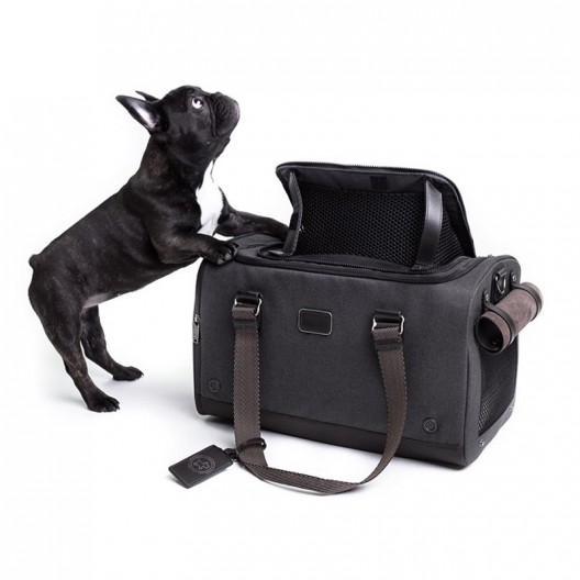 Tumi's Newest Collection: For the Affluent Pup Who Wants to Travel in Style