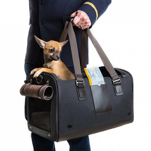 Tumi's Newest Collection: For the Affluent Pup Who Wants to Travel in Style