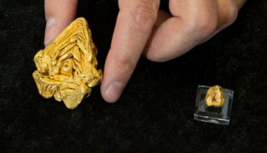 World's Largest Gold Nugget Created from a Single Crystal Worth $1.5 Million
