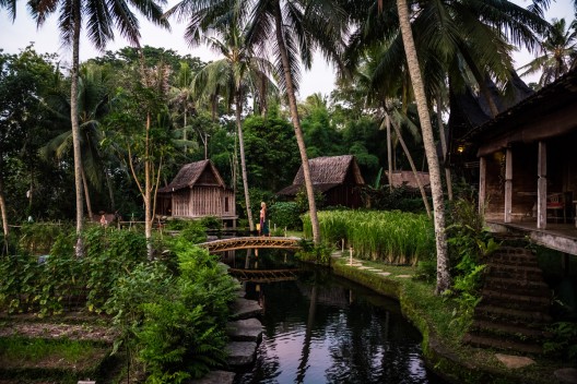 Sleep With the Fishes in Bali's Bambu Indah Hotel