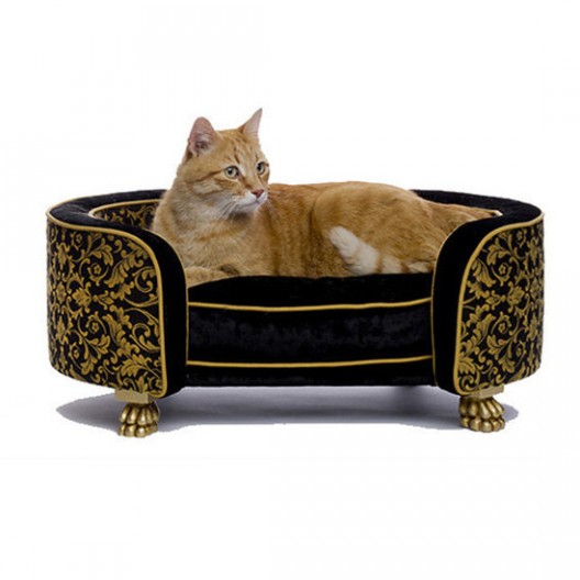 TimeinBox - Luxury Accessories For Pets