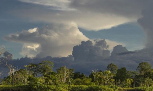 Explore Wonders of the Peruvian Amazon with Rainforest Cruises' Treehouse Lodge Package Tour