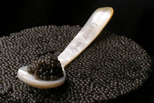 Authentic Russian Osetra Black Caviar Available Again