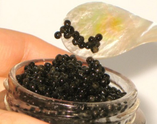 Authentic Russian Osetra Black Caviar Available Again