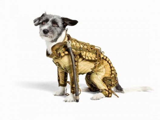 Soviet Dog Spacesuit Could Fetch $10,500 at Auction