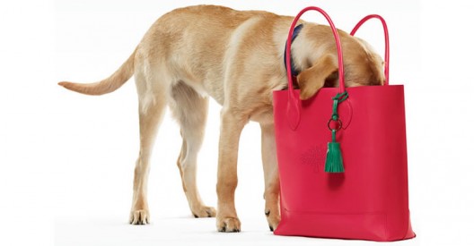 Mulberry's New Blossom Collection Paired with Pooches