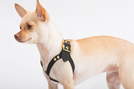 Brikk Brings Some Luxury for Dogs with Handmade Lux Dog Harness