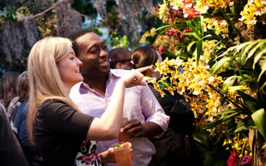 Experience Guerlain's Orchid Evenings at New Yorks Botanical Garden