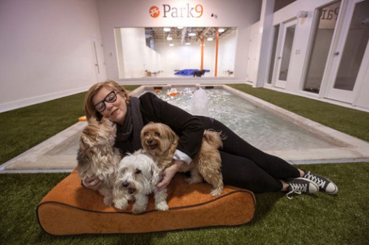 Park9 - Toronto's First Luxury Resort for Pets