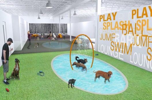 Park9 - Toronto's First Luxury Resort for Pets