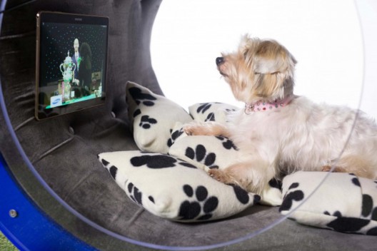 New Samsung Dream Doghouse Worth $31,000