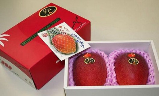 Would You Pay $2,500 For A Pair of Japanese Mangoes?