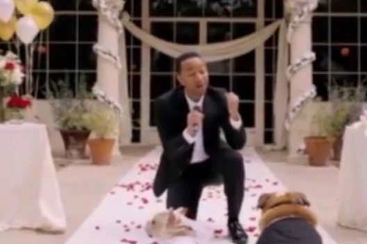 John Legend Sings At Dog Wedding For Charity