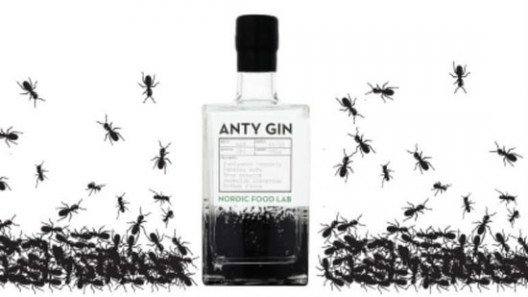 Would You Try Gin Made From ANTS?
