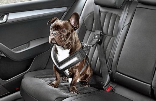 Skoda Seat Belts for Dogs