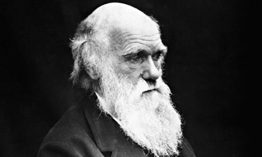 Darwin's Letter Saying "I don't believe in the Bible"