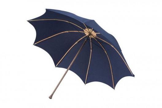 Would You Pay $8,000 For Umbrella?