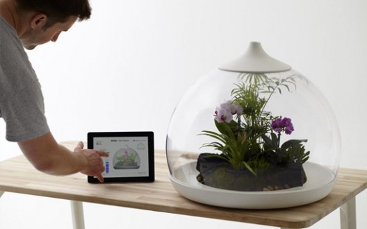 Biome Flora Terrarium That Links to Your iPad or iPhone