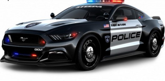 The Steeda Mustang Police Interceptor