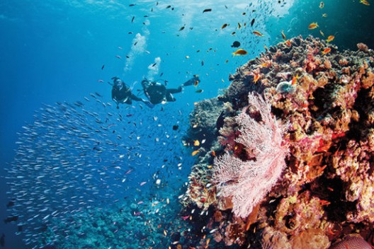 Silversea Expeditions' cruises feature scuba diving excursions