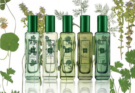 The Herb Garden - Jo Malone's New Fragrance Collection