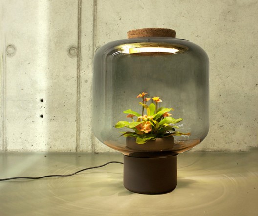 Grow Plants Lamps
