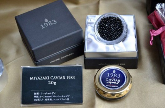Miyazaki Caviar 1983 For First-Class Passengers On Japan's ANA Air Western Routes