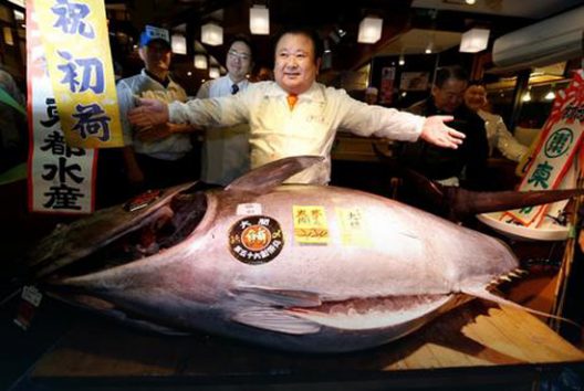 This Fish Is Priced At €600,000 And Is Sold Out