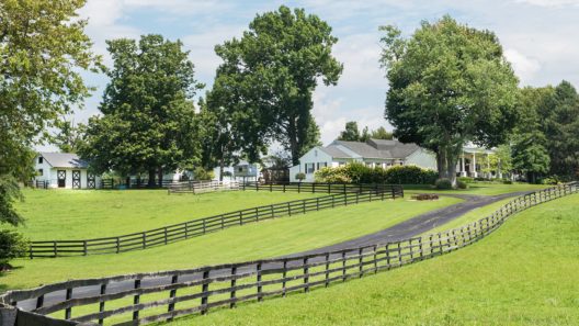 Johnny Depp’s Kentucky Horse Farm At Auction