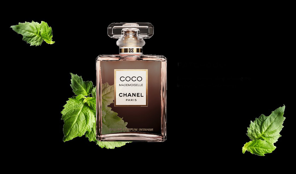 Chanel's New Coco Mademoiselle Intense Fragrance for Women - eXtravaganzi